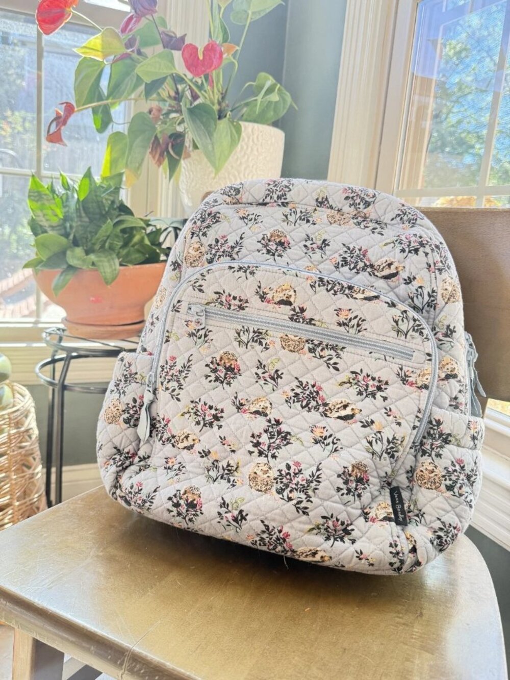 Vera Bradley Cotton Backpack Retired Hedgehog Wild Print Large